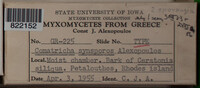Image Associated With the Occurence